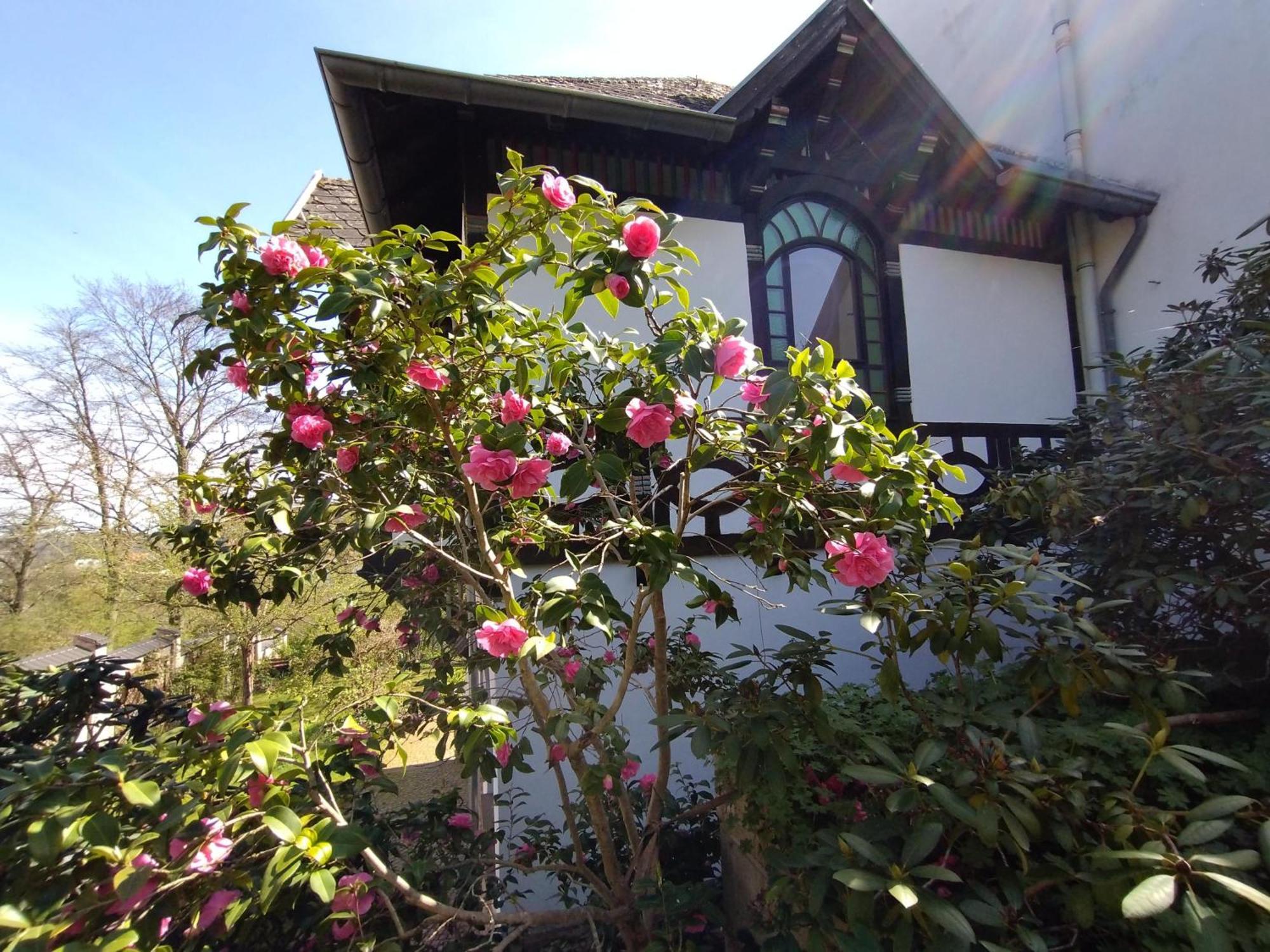 ザールブリュッケン Historisches Haus Am Trillerヴィラ エクステリア 写真